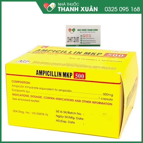 Ampicillin MKP 500 - Điều trị các trường hợp nhiễm khuẩn